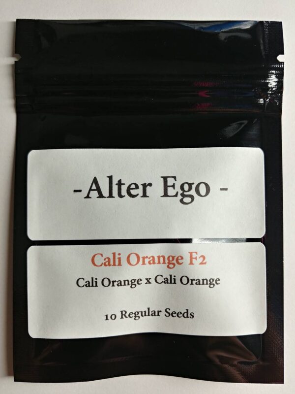 Alter Ego Genetics Cali Orange F2 - No lemon, all orange terps with his version