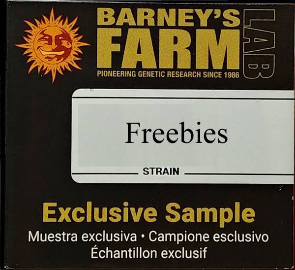 Barney's Farm - Ayahuasca Purple
