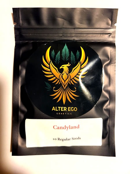 Candyland F2 pack from Alter Ego Genetics