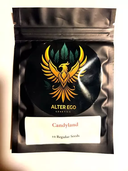 Candyland F2 pack from Alter Ego Genetics